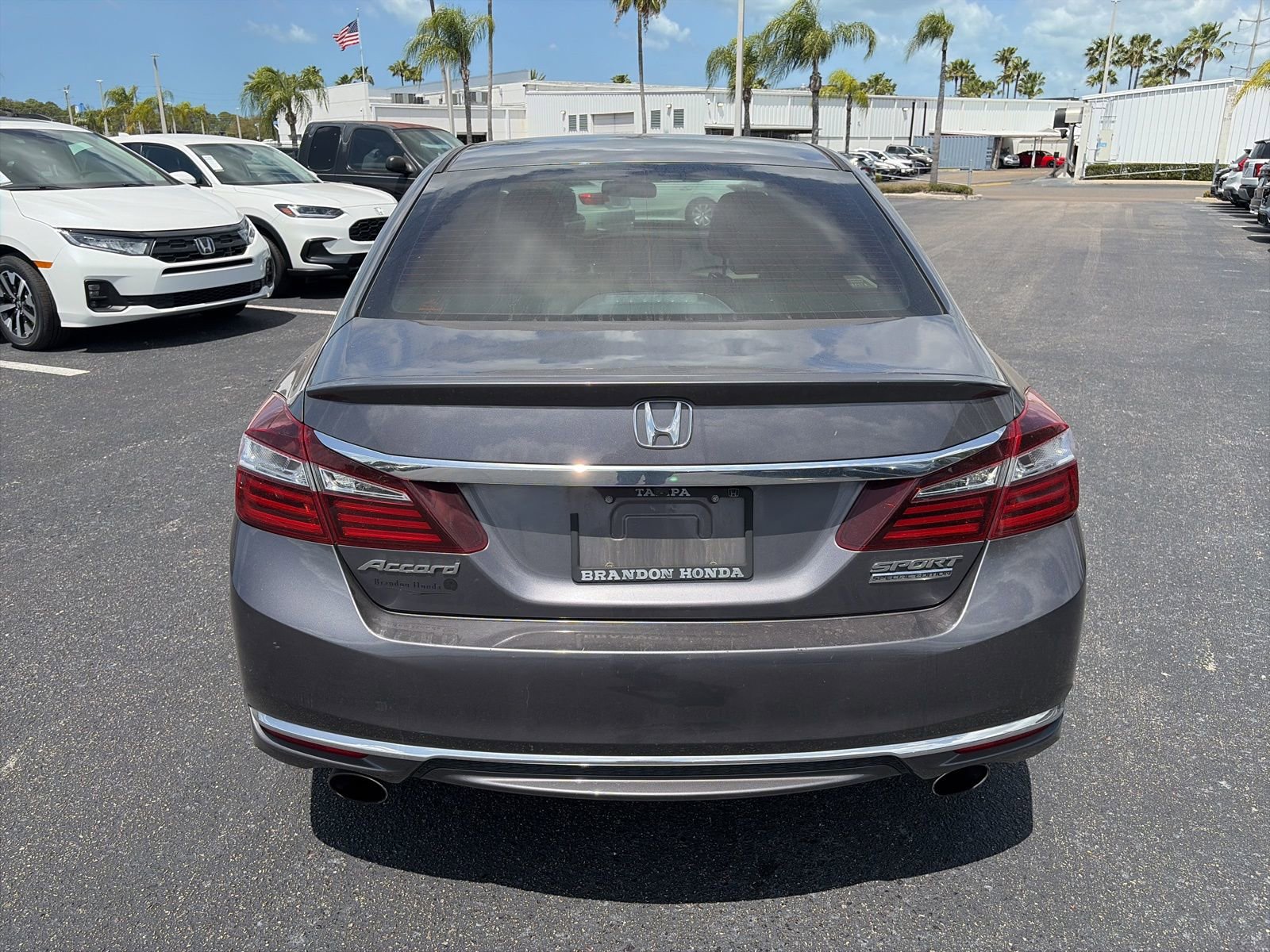 Used 2017 Honda Accord Sport Special Edition image 6