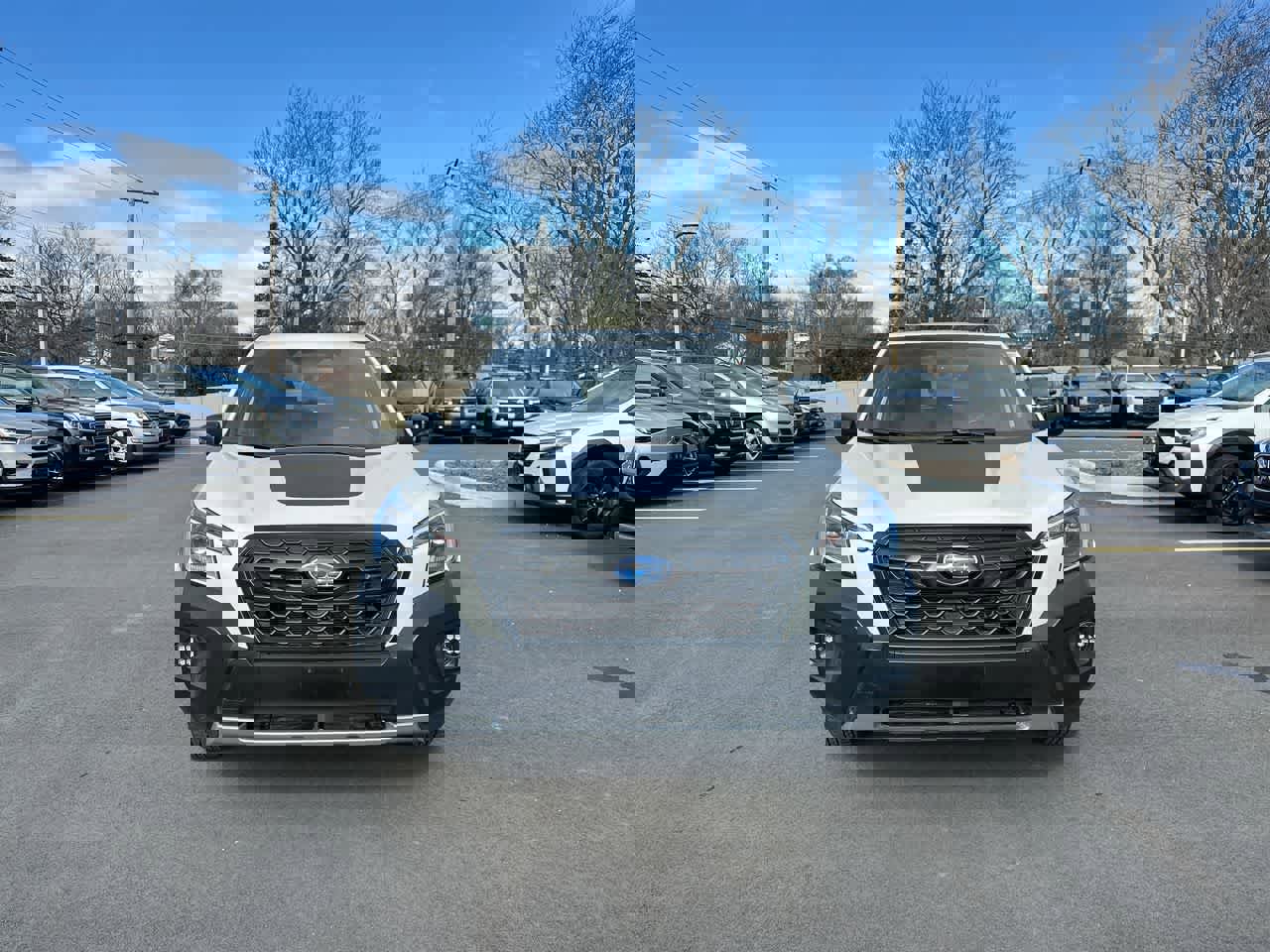 Certified 2024 Subaru Forester Wilderness image 16