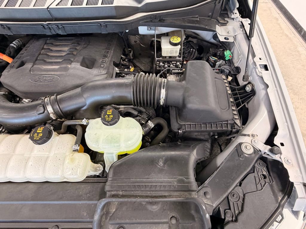 Used 2023 Ford F150 XLT w/ Equipment Group 302A High image 52