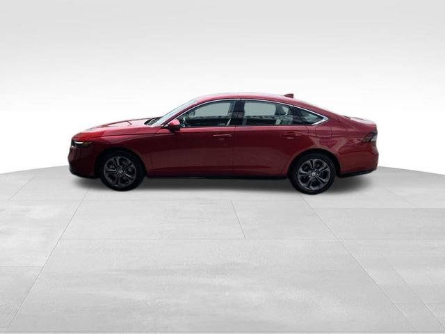 Certified 2025 Honda Accord EX-L image 15