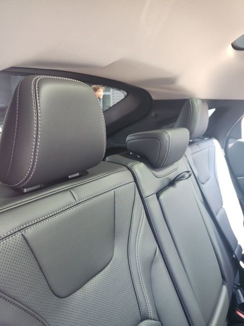 New 2025 Ford Mustang Mach-E Premium w/ Sport Appearance Package image 20