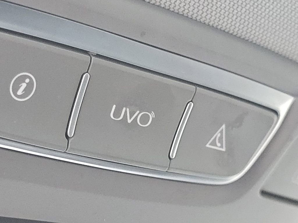 Used 2020 Kia Telluride EX w/ EX Premium Package image 8