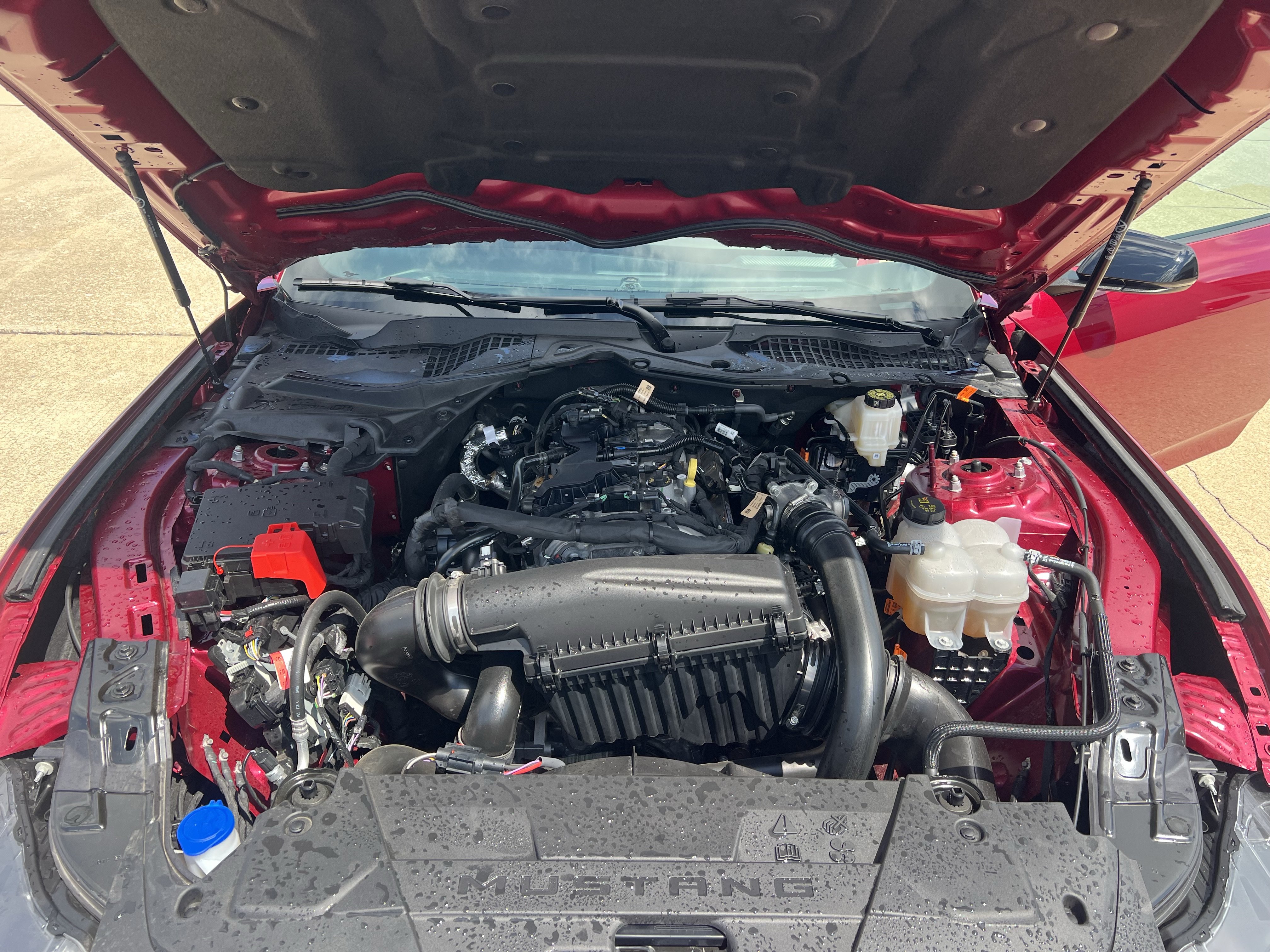 Used 2025 Ford Mustang Premium RWD image 17