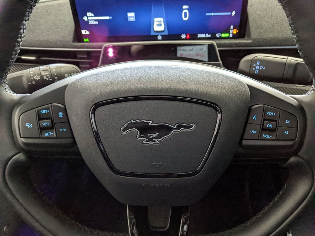 New 2025 Ford Mustang Mach-E Premium w/ Interior Protection Package image 11