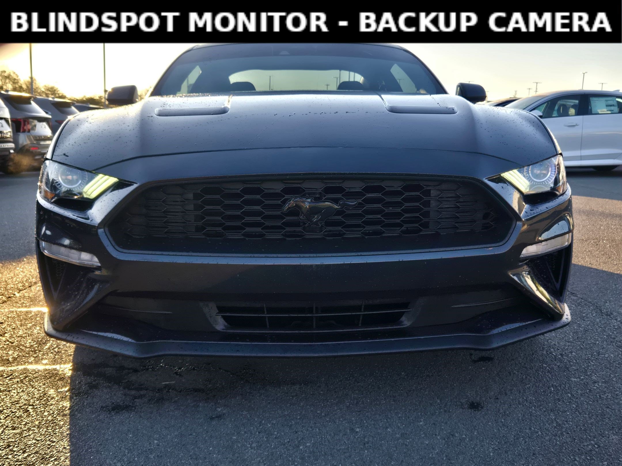 Used 2023 Ford Mustang EcoBoost w/ Equipment Group 101A image 2