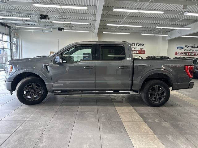 Used 2023 Ford F150 XLT w/ Equipment Group 302A High AWD/4WD image 14