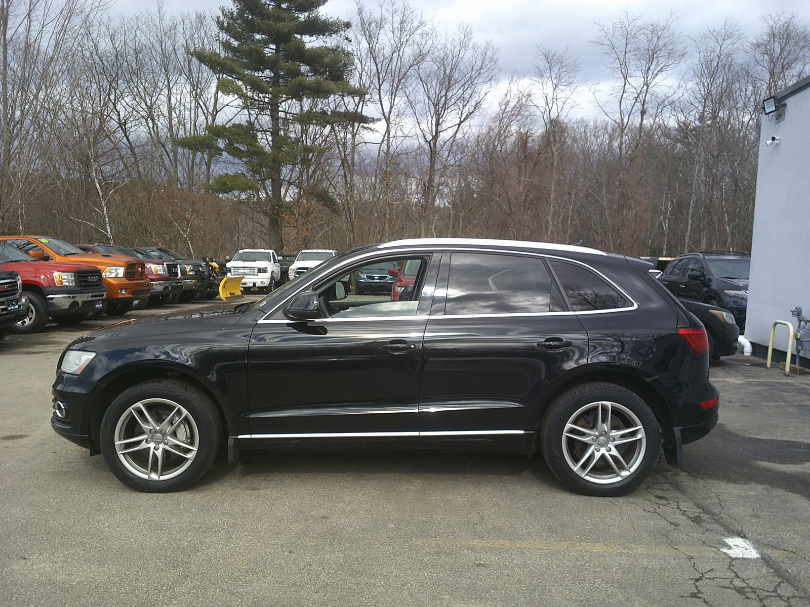 Used 2014 Audi Q5 TDI Premium Plus image 8