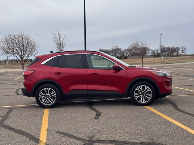 Used 2020 Ford Escape SEL AWD/4WD image 2