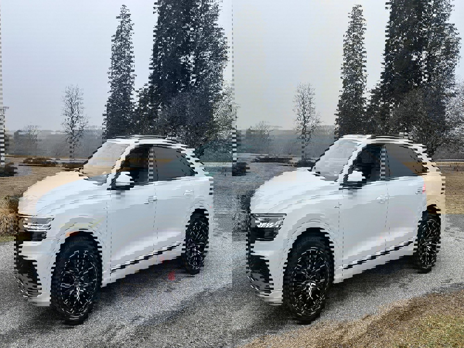 Used 2019 Audi Q8 Prestige image 5