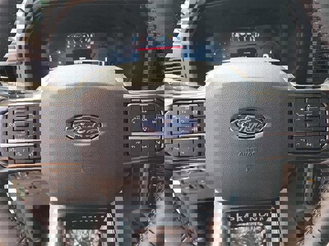 New 2025 Ford F150 Platinum w/ Equipment Group 702A High image 31