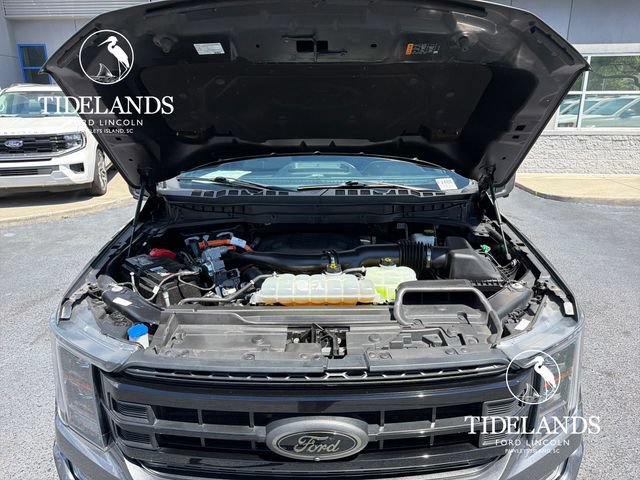 Certified 2023 Ford F150 Platinum w/ Equipment Group 701A High AWD/4WD image 28