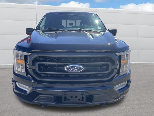 Used 2023 Ford F150 XLT w/ Equipment Group 302A High AWD/4WD image 9