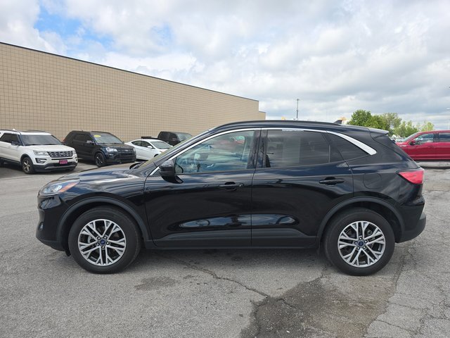 Used 2022 Ford Escape SEL image 8