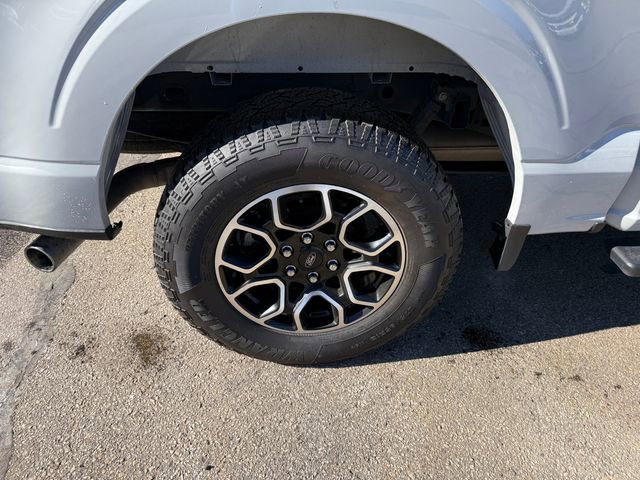 Used 2023 Ford F150 XLT w/ Equipment Group 302A High image 23