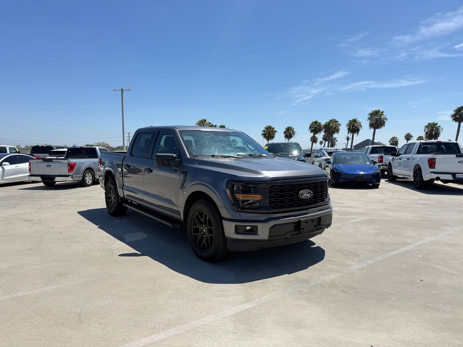 Used 2024 Ford F150 STX w/ STX Black Appearance Package RWD image 4