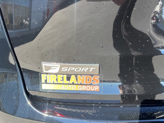 Used 2020 Lexus NX 300 F Sport image 10