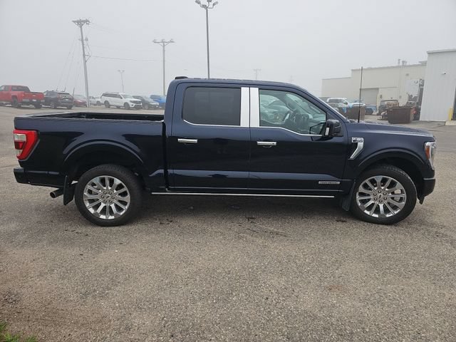 Used 2023 Ford F150 Limited AWD/4WD image 6