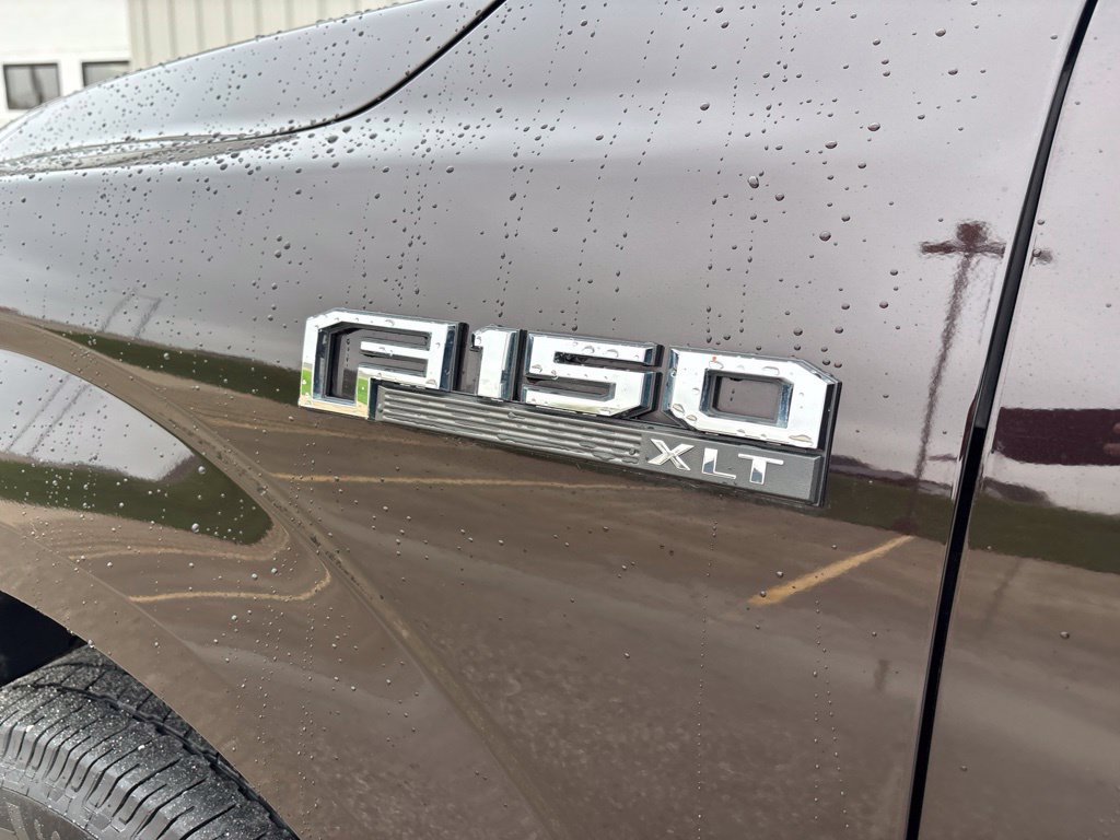 Used 2019 Ford F150 XLT w/ Equipment Group 302A Luxury AWD/4WD image 14