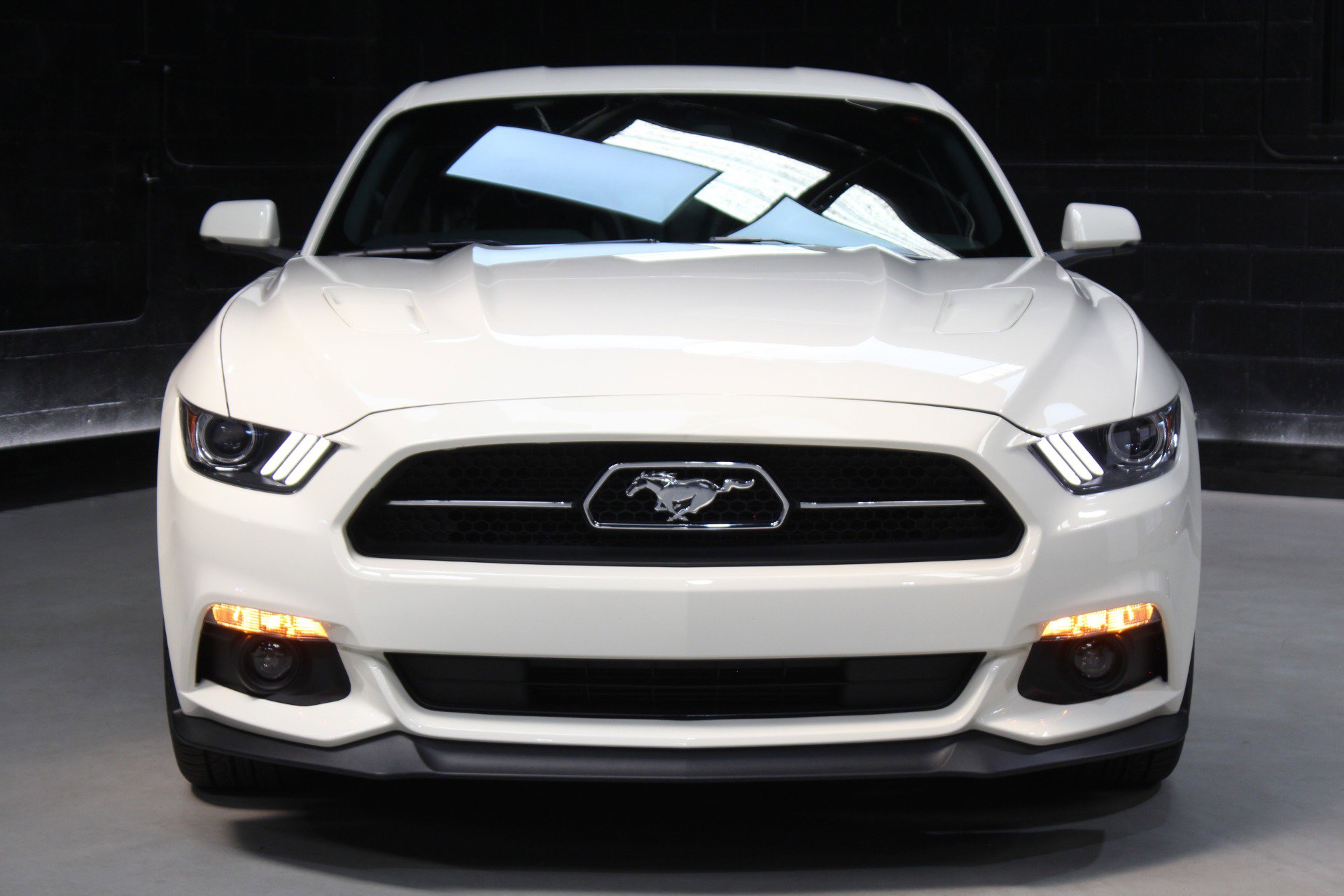 Used 2015 Ford Mustang 50 Years RWD image 8