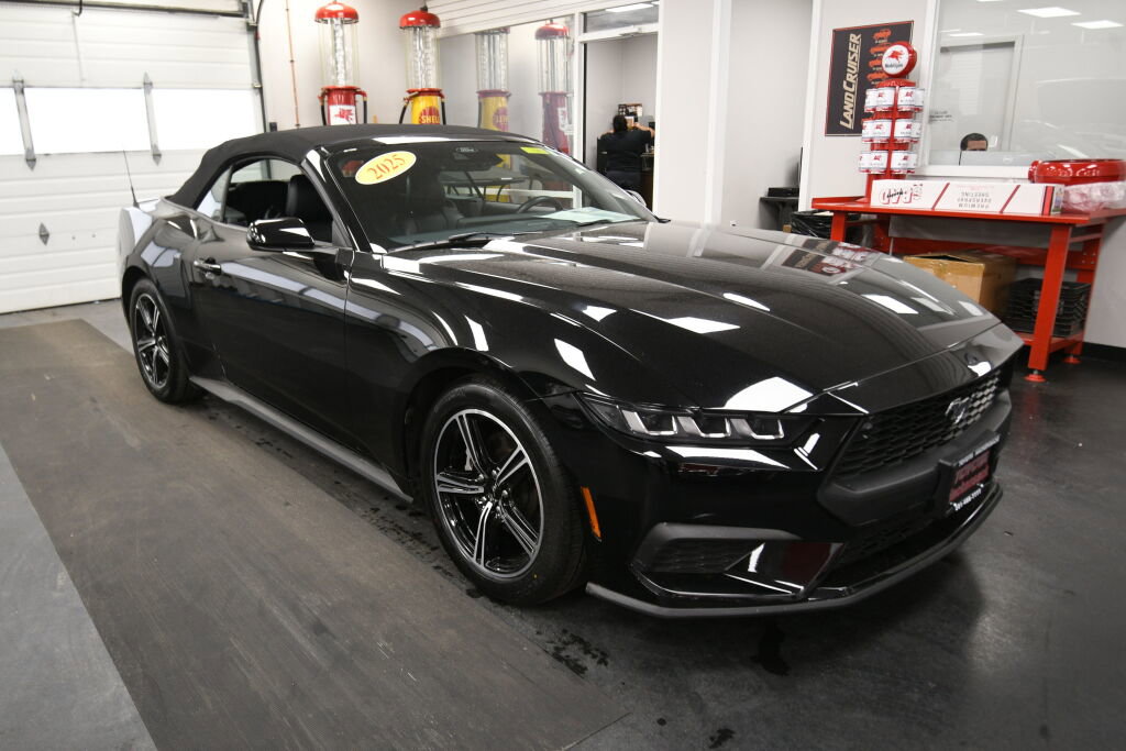 Used 2025 Ford Mustang Premium RWD image 2