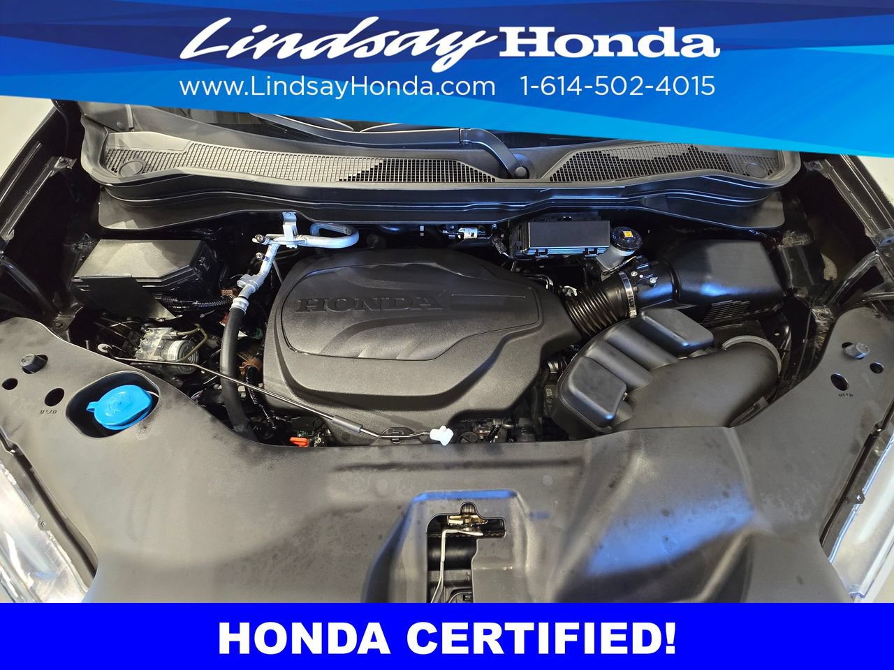 Certified 2024 Honda Passport EX-L image 25