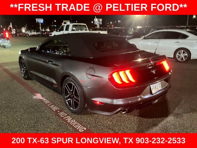 Used 2019 Ford Mustang Premium image 6