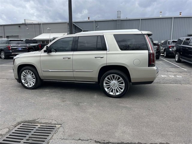 Used 2016 Cadillac Escalade Platinum image 6