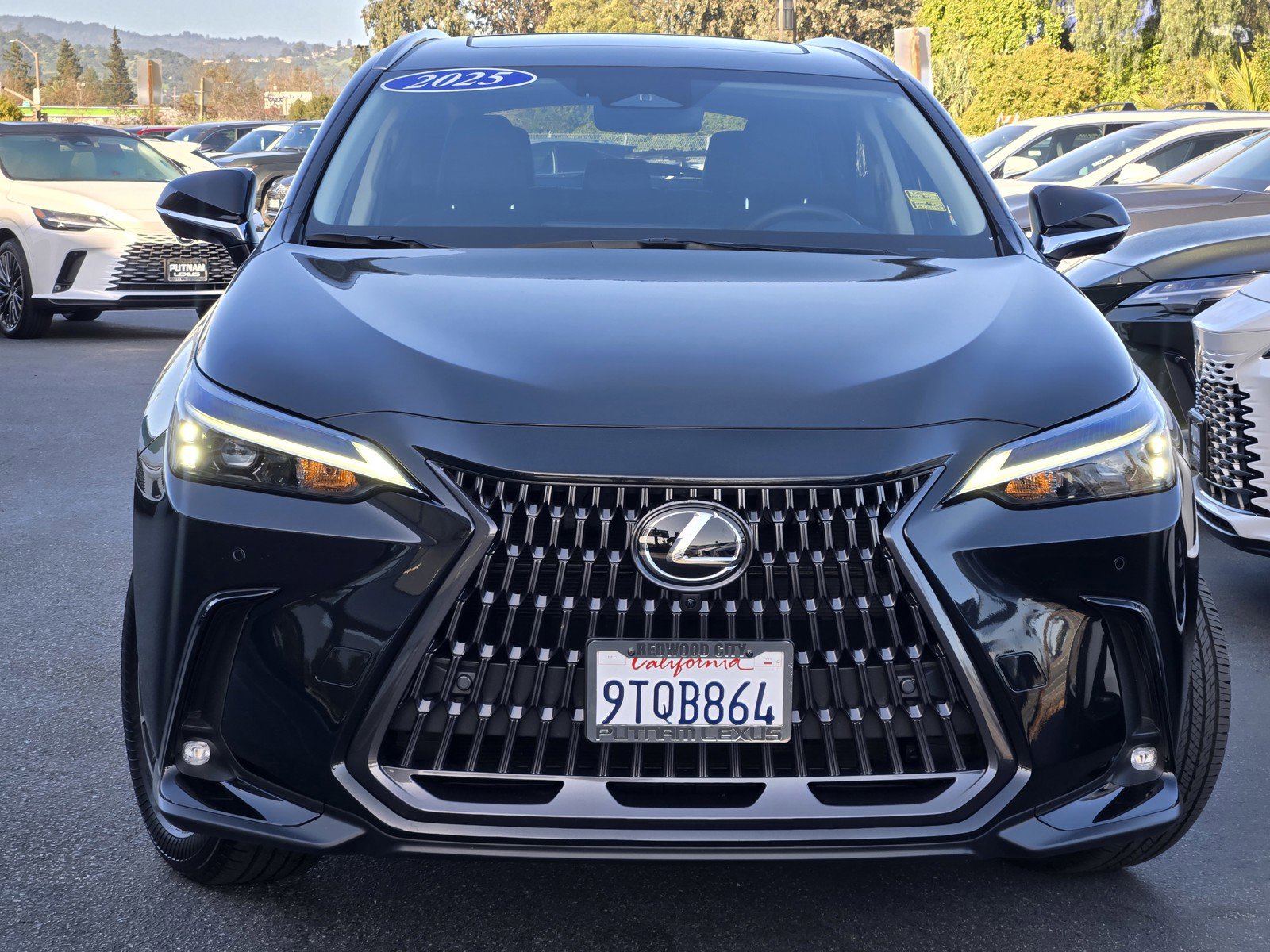 Used 2025 Lexus NX 350h AWD w/ Cold Area Package image 2