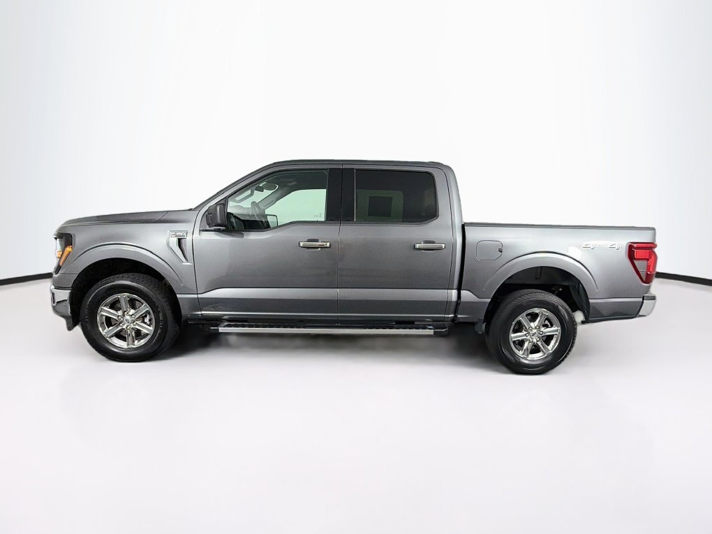 Used 2025 Ford F150 XLT w/ Equipment Group 301A Standard AWD/4WD image 6