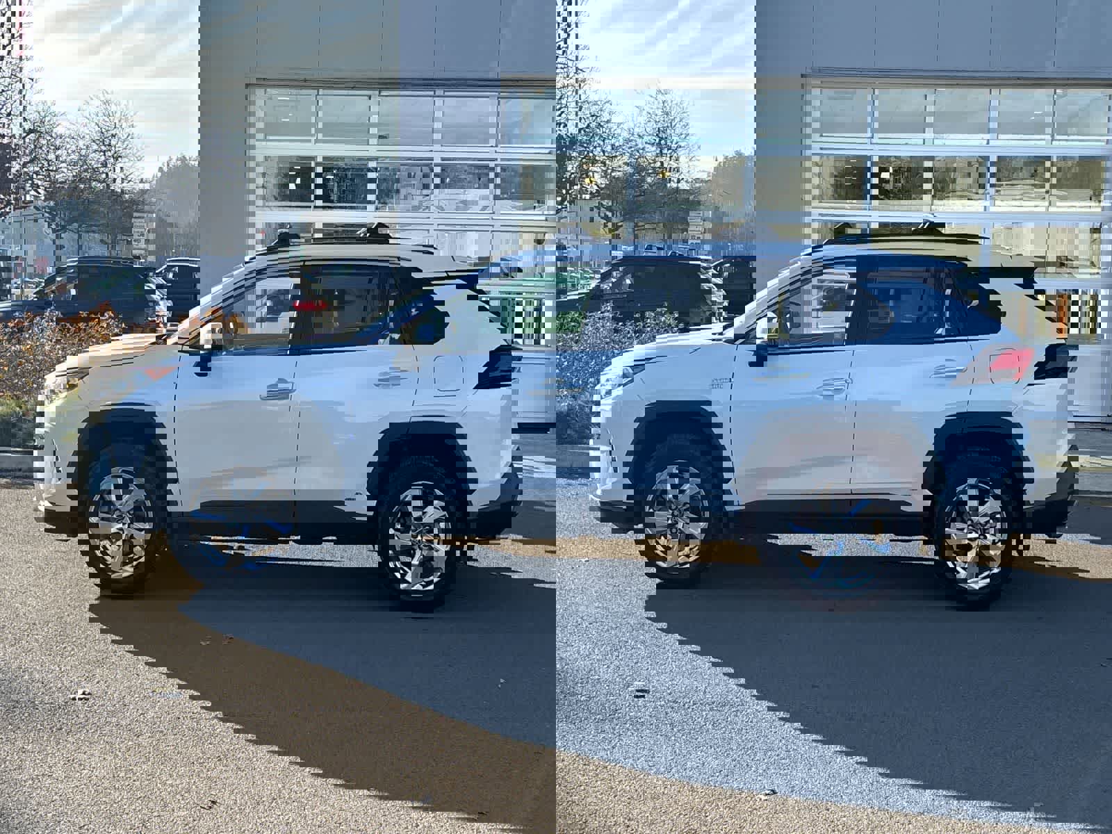 Used 2020 Toyota RAV4 Limited image 2