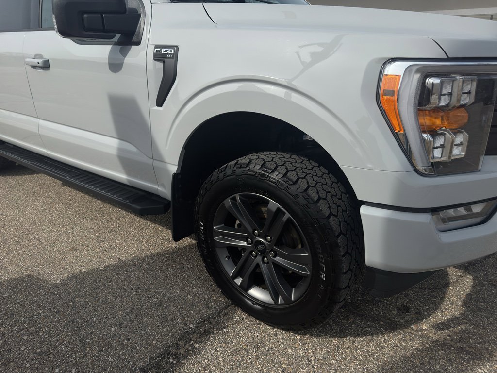 Used 2023 Ford F150 XLT w/ Equipment Group 302A High image 17