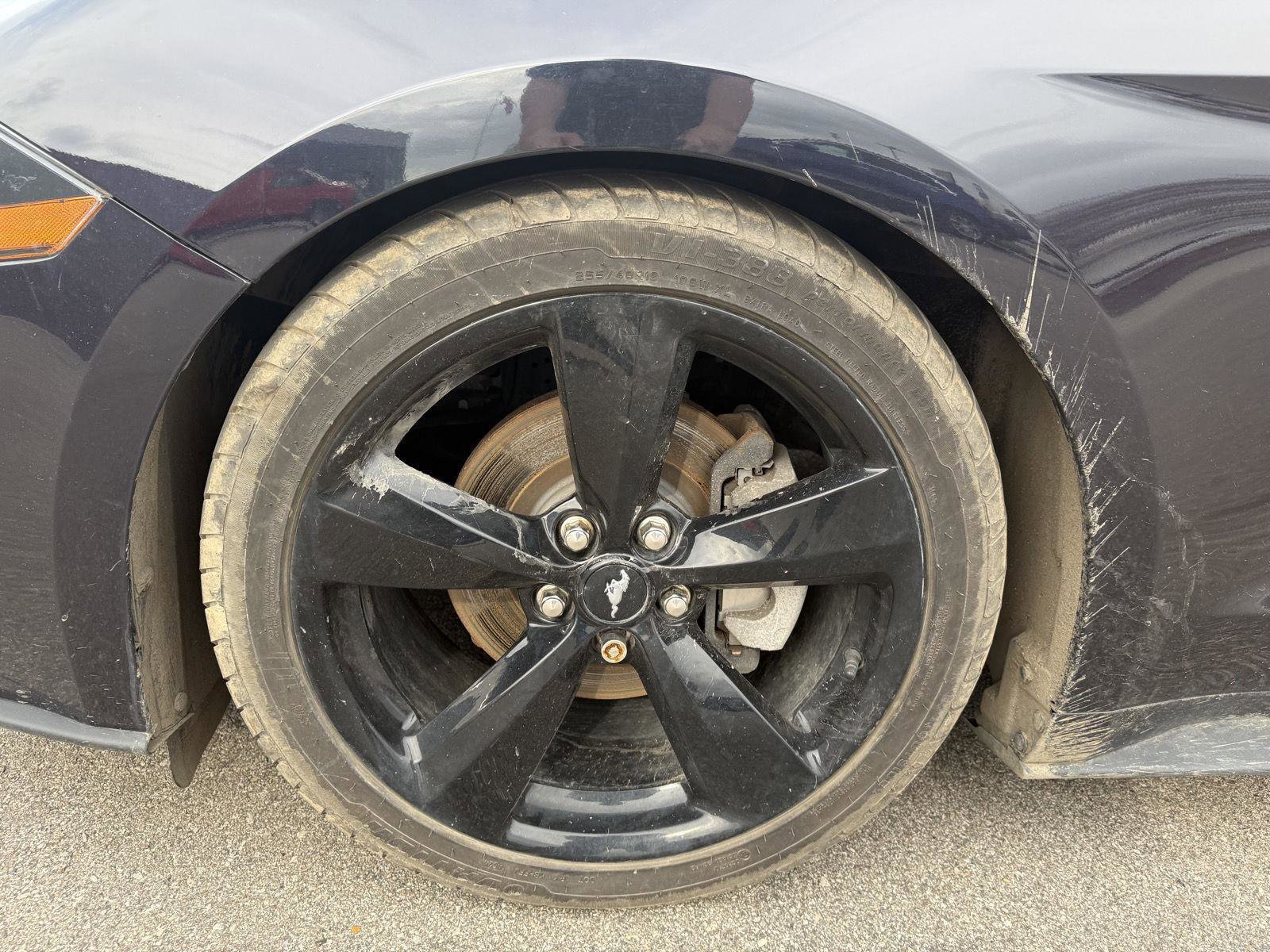 Used 2023 Ford Mustang Coupe w/ Mustang Nite Pony Package RWD image 14