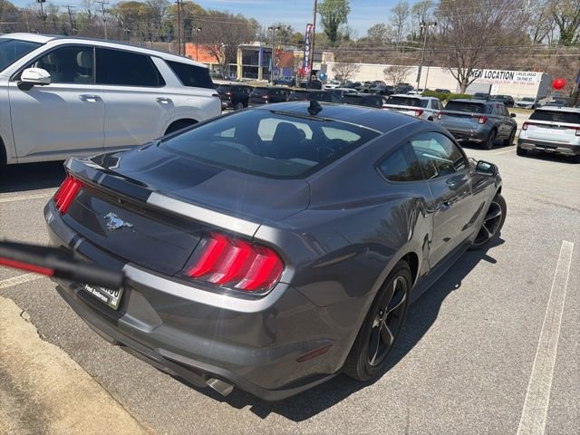Used 2022 Ford Mustang EcoBoost w/ Equipment Group 101A image 15