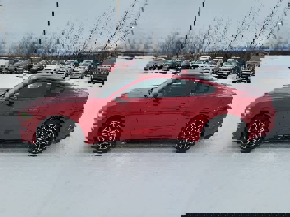 Used 2020 Ford Mustang Coupe w/ Equipment Group 101A image 2