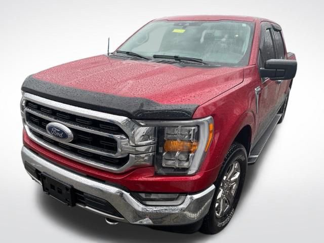 Used 2021 Ford F150 XLT w/ Equipment Group 302A High image 5