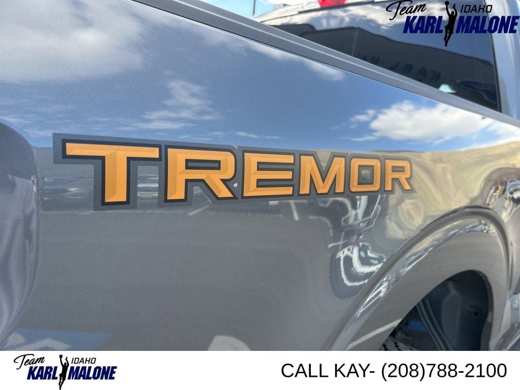 Used 2025 Ford F150 Tremor AWD/4WD image 13