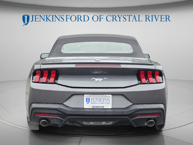 Used 2024 Ford Mustang Premium RWD image 6
