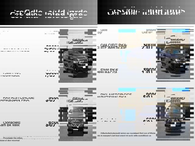 Used 2025 BMW X6 xDrive40i image 5