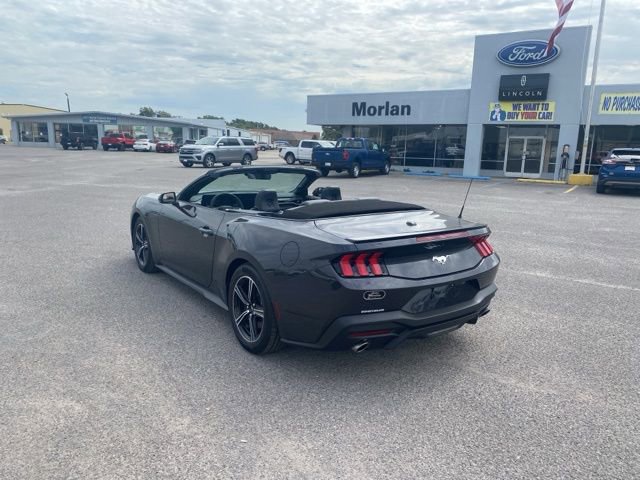 New 2024 Ford Mustang Premium image 4