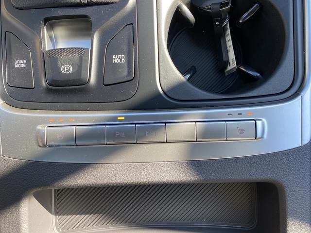 New 2026 Kia Carnival image 7