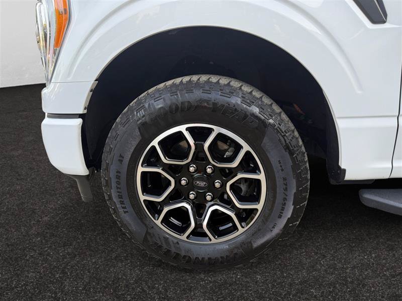 Used 2023 Ford F150 XLT w/ Equipment Group 302A High AWD/4WD image 16