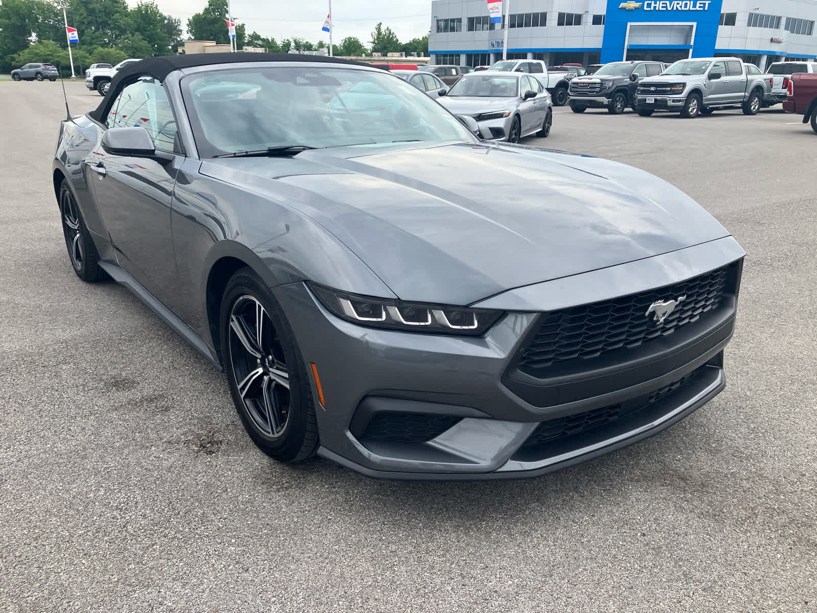 Used 2025 Ford Mustang Premium