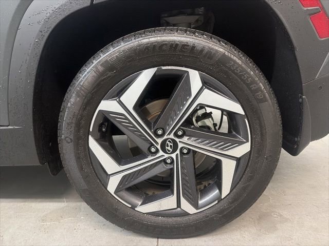 Used 2023 Hyundai Tucson Limited image 10