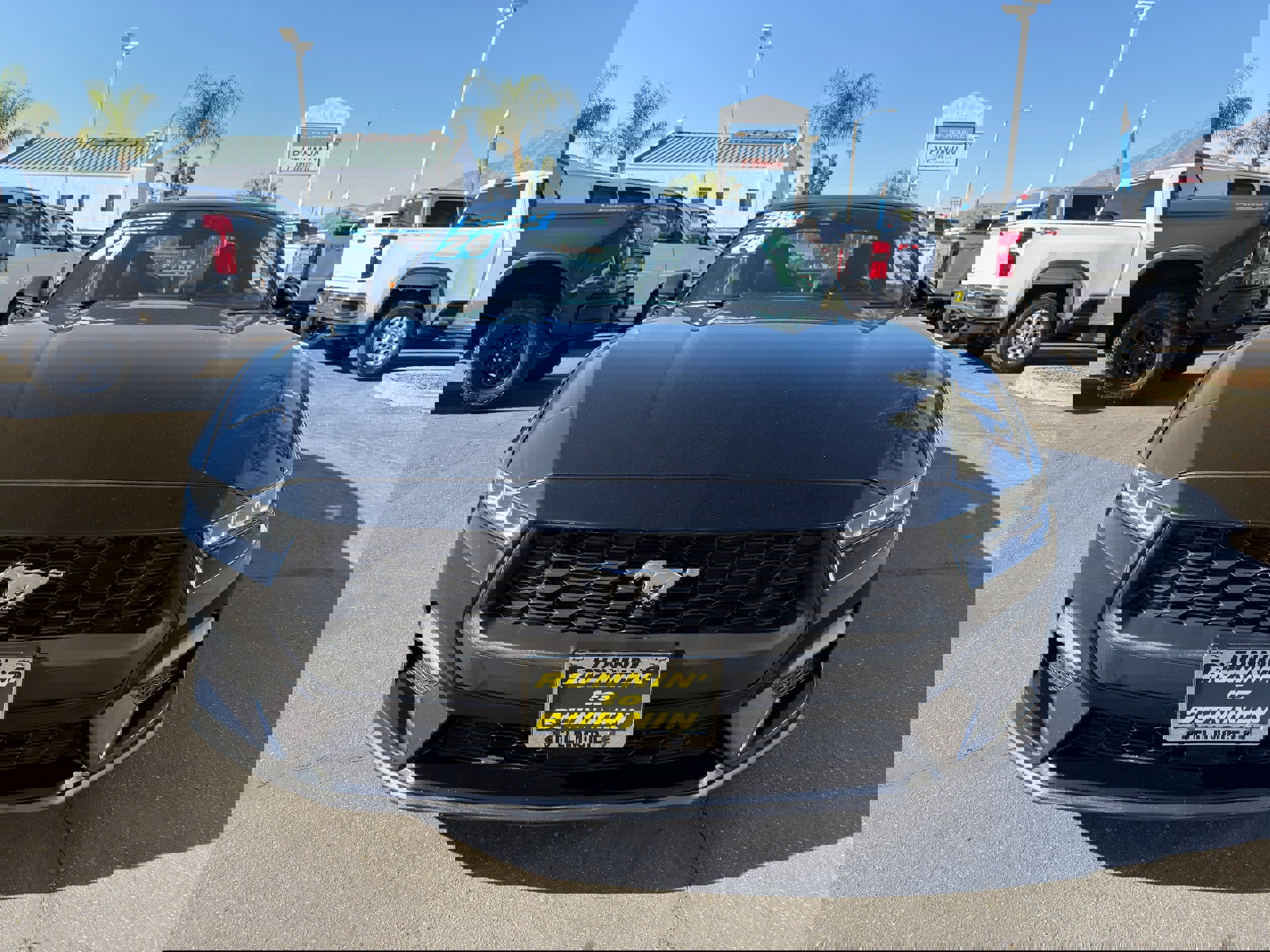 Used 2024 Ford Mustang Ecoboost image 3