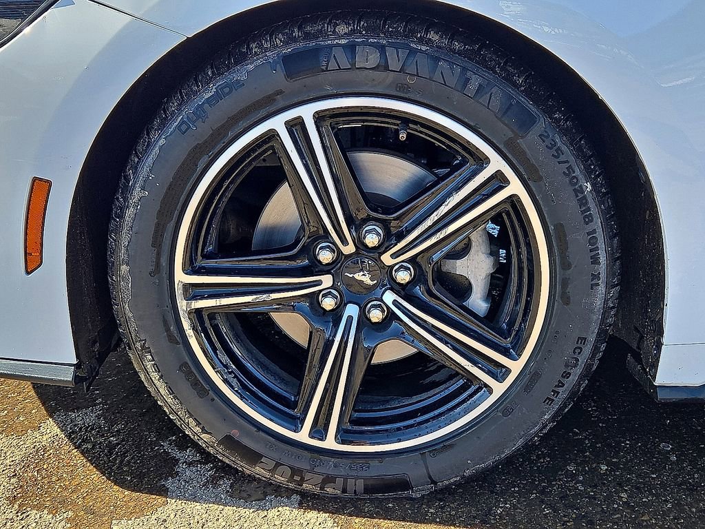 Used 2024 Ford Mustang Premium image 11