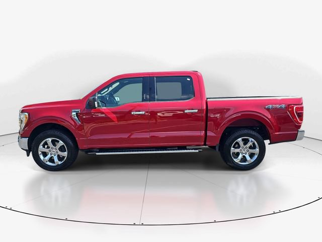 Used 2021 Ford F150 XLT w/ Equipment Group 302A High AWD/4WD image 6
