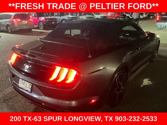 Used 2019 Ford Mustang Premium image 8