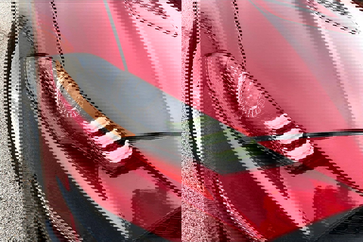 Used 2019 Ford Mustang EcoBoost image 24