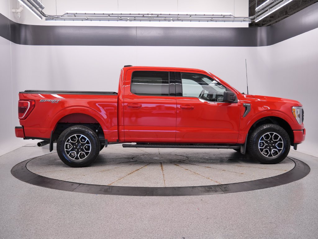 Used 2023 Ford F150 XLT w/ Equipment Group 302A High AWD/4WD image 8