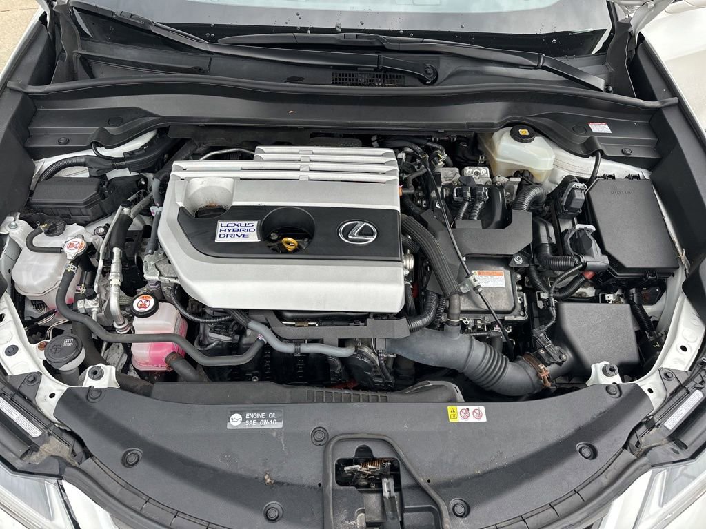 Used 2020 Lexus UX 250h w/ Premium Package image 28